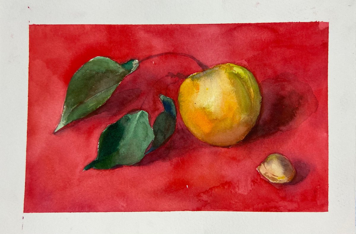 Apricot on red | little watercolor etude by Nataliia Nosyk