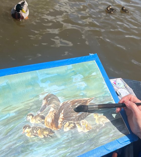 Ducklings Day Out