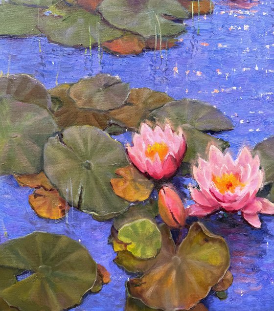 Water Lilies # 2