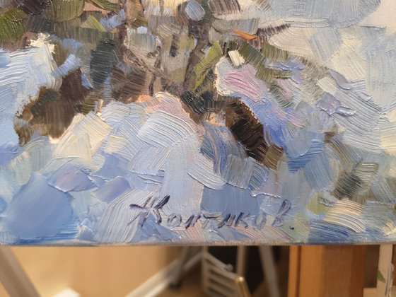 The path to the frozen lake