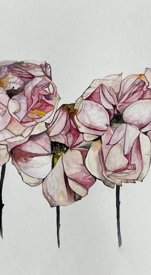 Pink roses pastel by Myroslava Denysyuk