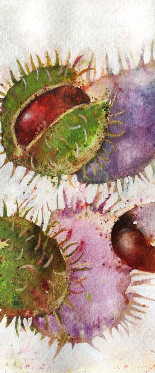 Autumnal Chestnuts by Ayna Paisley