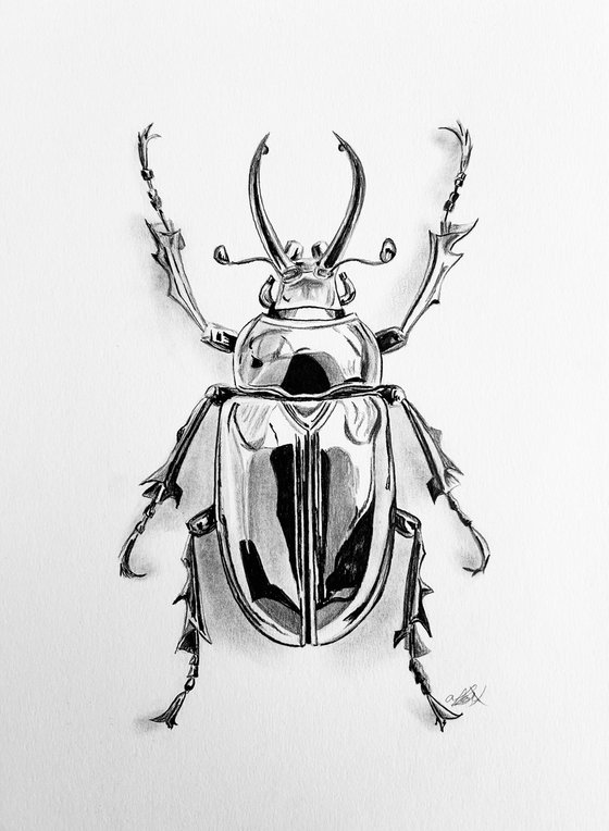 Obsidian Stag