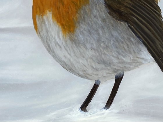 Robin on Snow