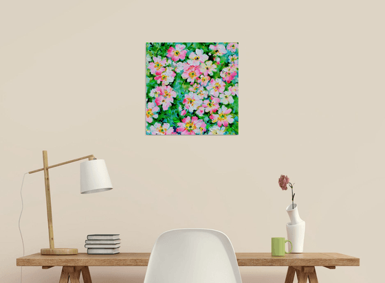 Wild White and Pink Roses