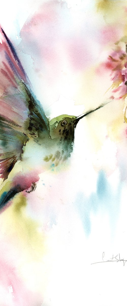 Hummingbird by Sophie Rodionov