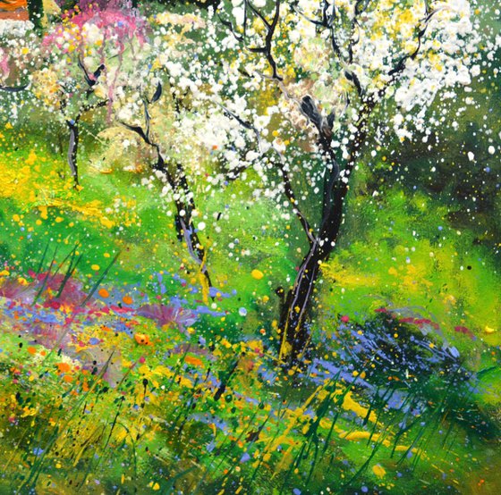 Spring inProvence