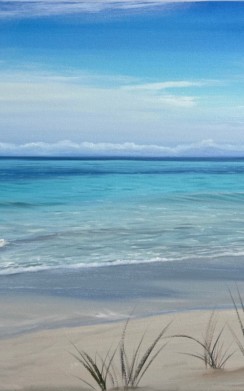 Caribbean Colors by Eva Volf