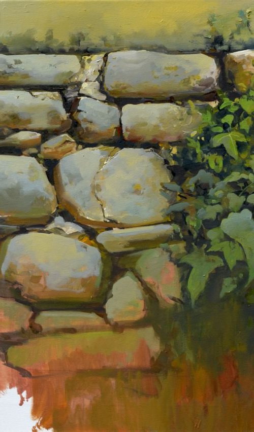 The wall by Isabel Robledo