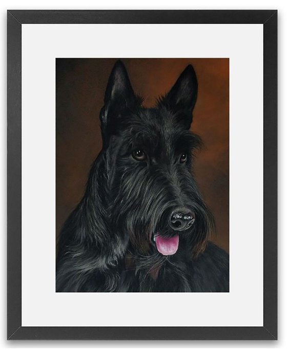 Scottish Highland Terrier ll (Original Painting)
