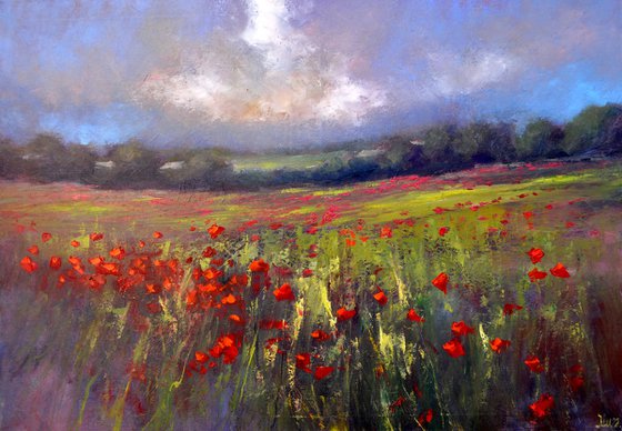 Landscape with poppy field