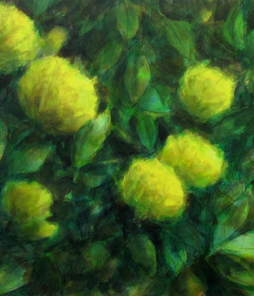 Yellow flowers by Fabienne Monestier