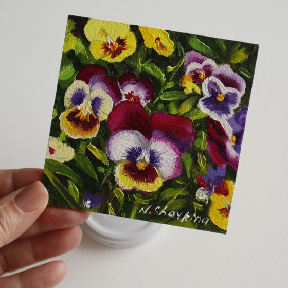 Tiny Pansies