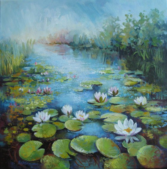 Waterlily pond