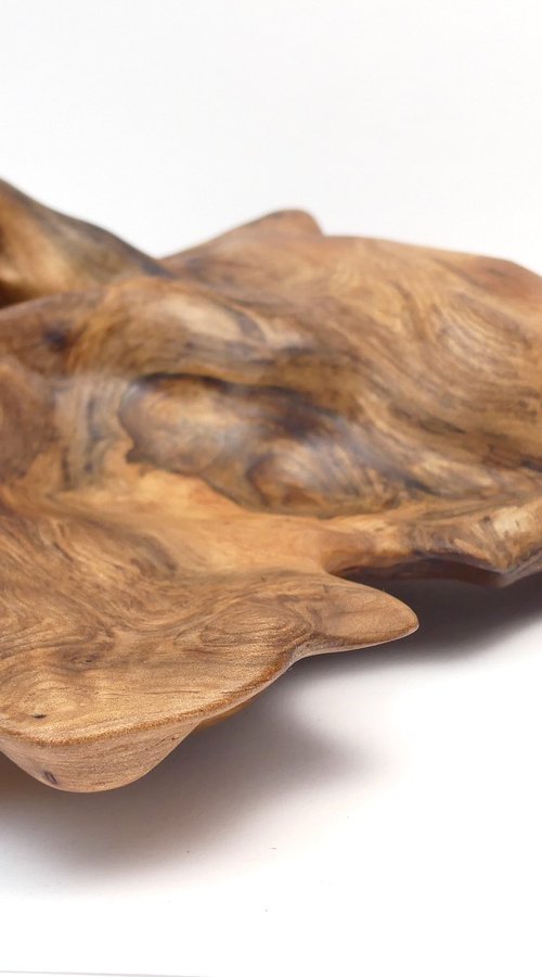 Be Like Water (2025) by J. Lane