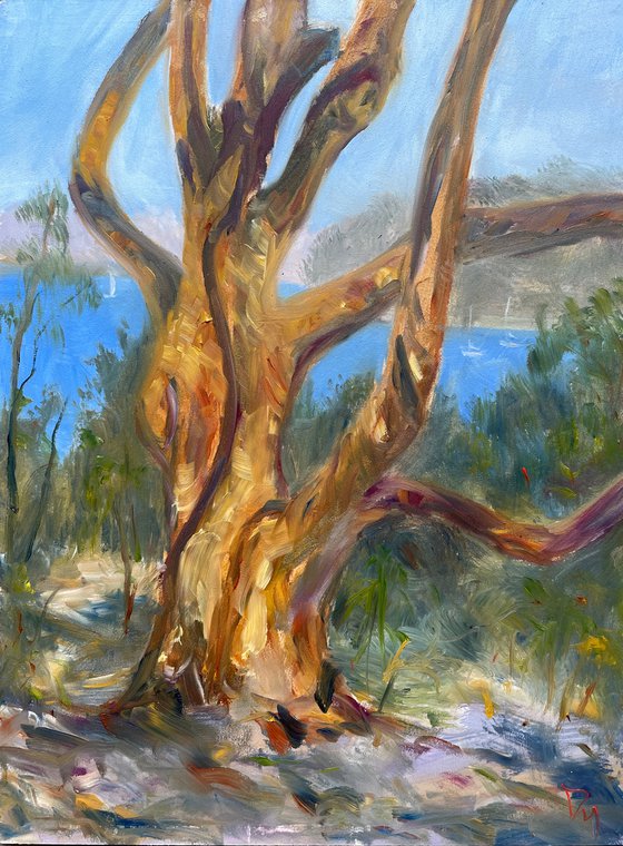 Gum tree