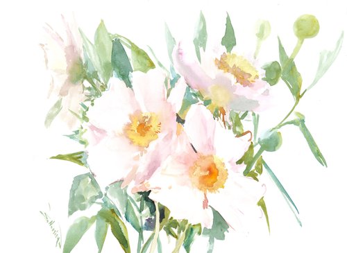 White Peony Flowers by Suren Nersisyan