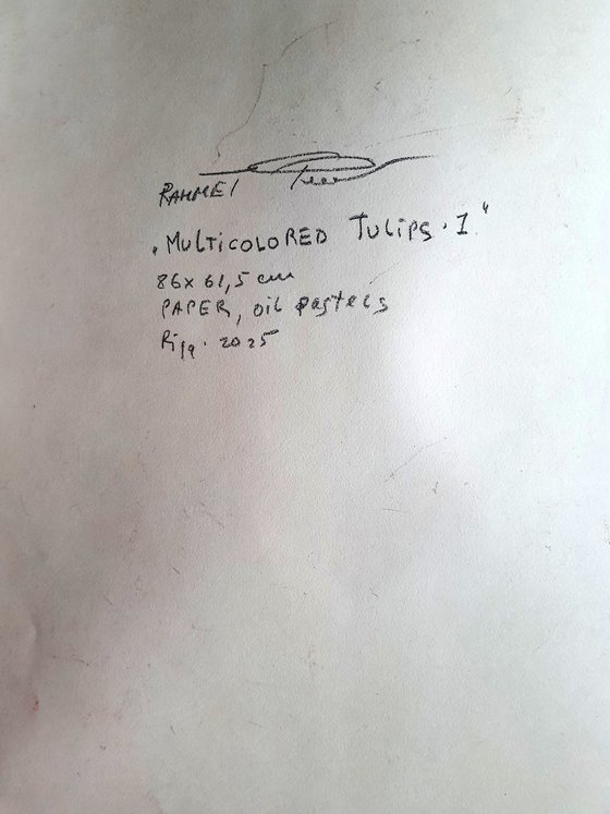 Multicolored Tulips 1