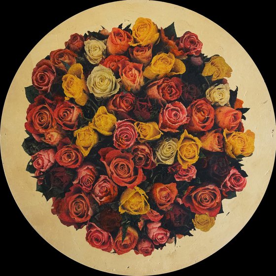 Rosa anulus 1