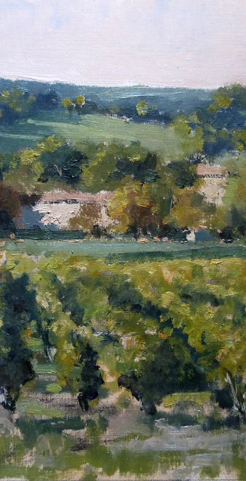 Vineyards near Château Neuf du Pape by Pascal Giroud