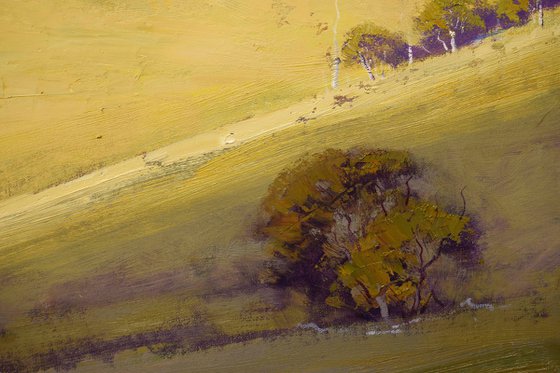 Sunlit Hill Kanimbla valley