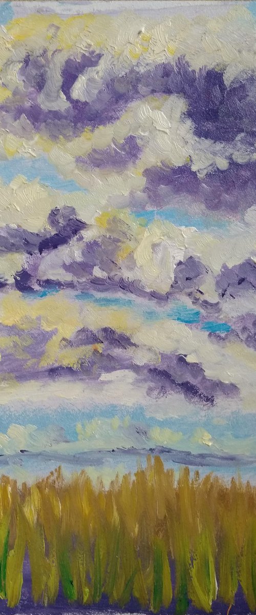 The sky with clouds. Pleinair painting by Dmitry Fedorov