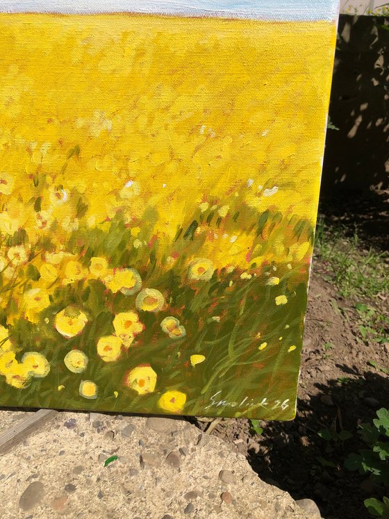 Summer. Woman in flower field