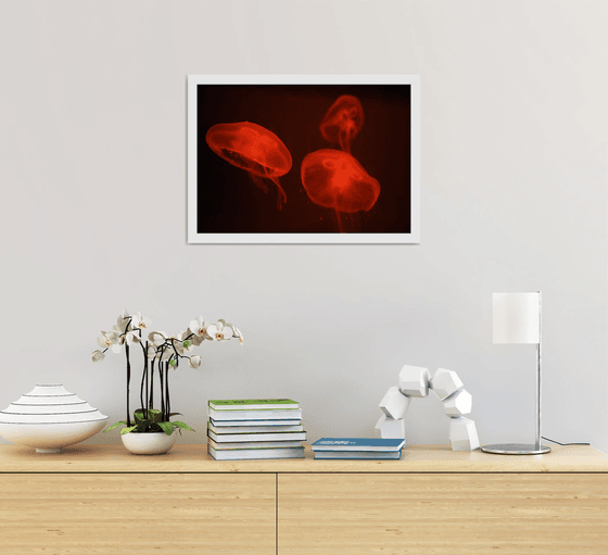 At the aquarium #4 | Limited Edition Fine Art Print 2 of 10 | 45 x 30 cm