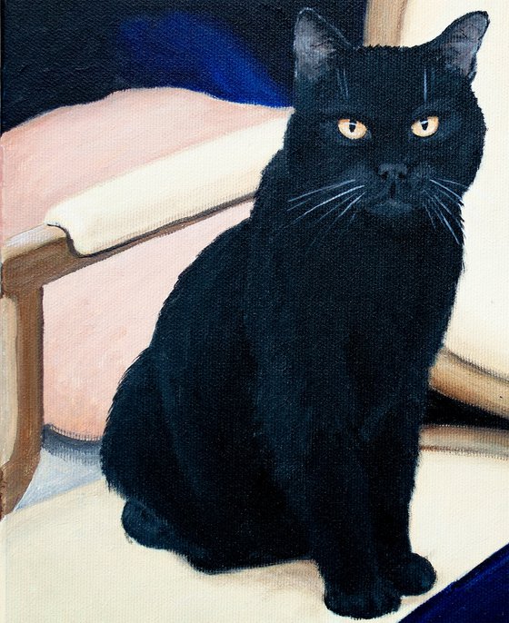 Black Cat on a Yellow Sofa