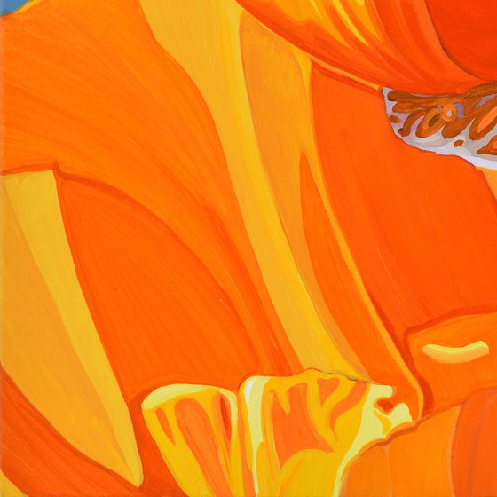 Californian Poppy and Pacific Wind #7