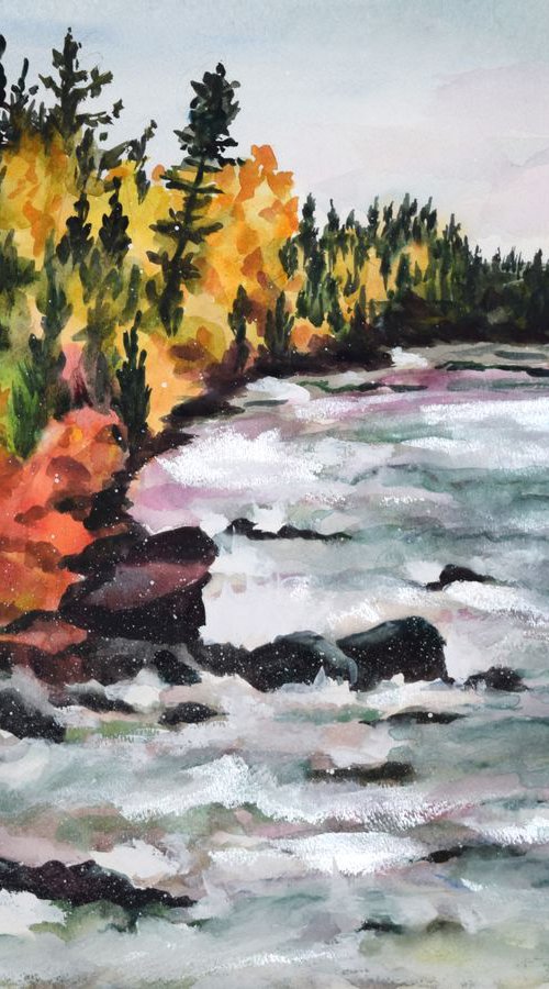 Along North Shore Drive by Christina M Plichta