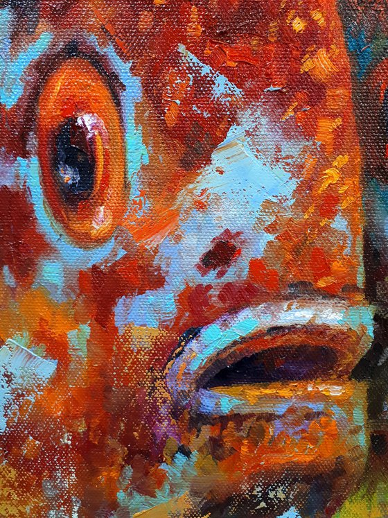 Fish-trio