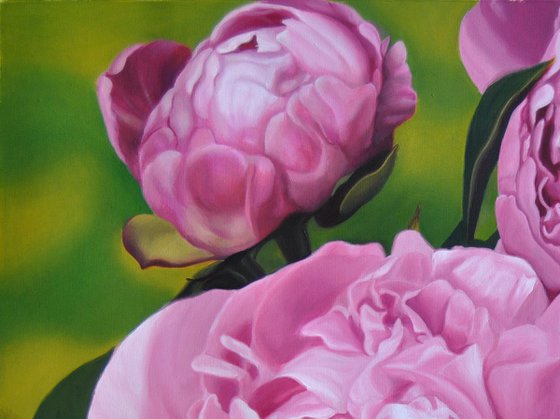 Peonies painting