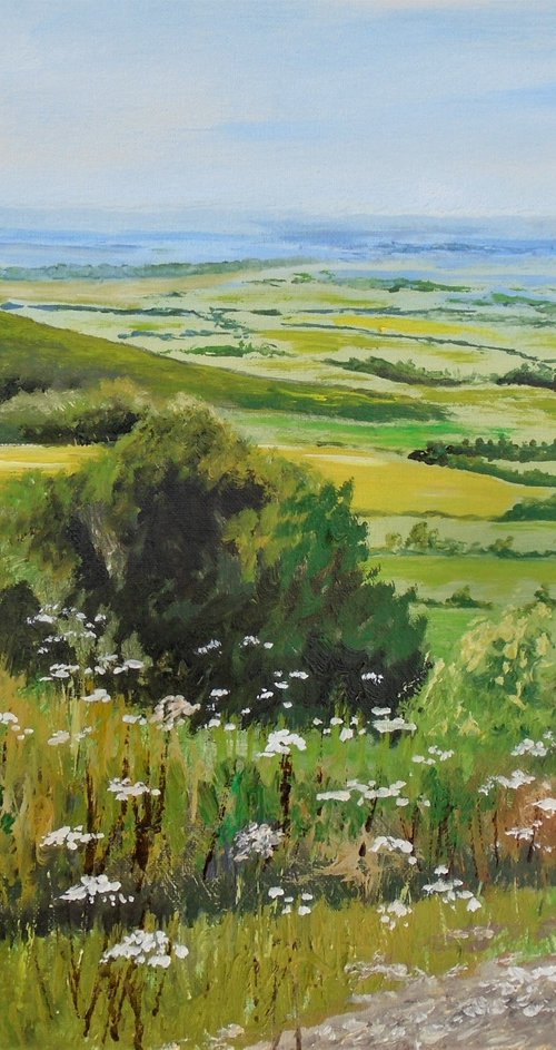 Cow Parsley Summer by Rod Bere