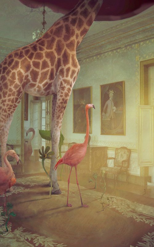 Where are the Flamingos? by Nikolina Petolas
