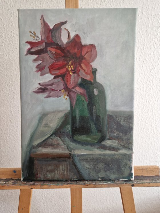 Still-life with flower "Red Amaryllis"