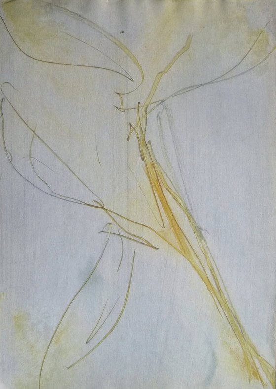 The Abstract Dancer, 41x29 cm ESA1