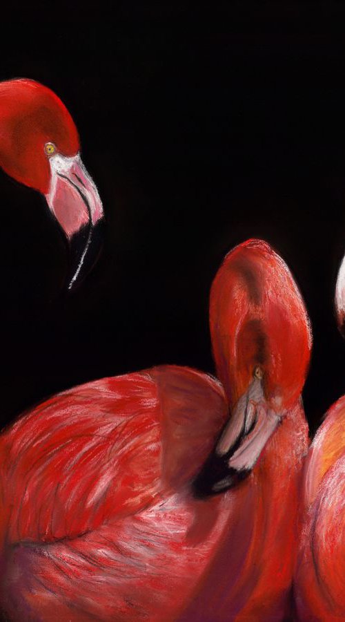 Flamingo by Danguole Serstinskaja