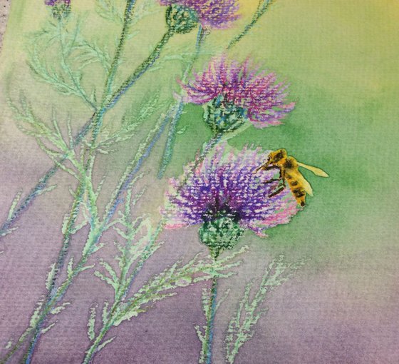 Bee&wild purple thistle