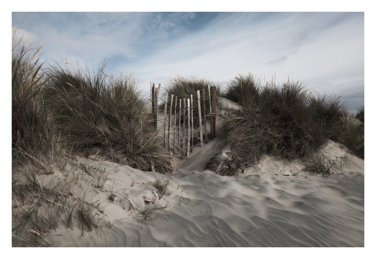 West Wittering Fence I by David Baker