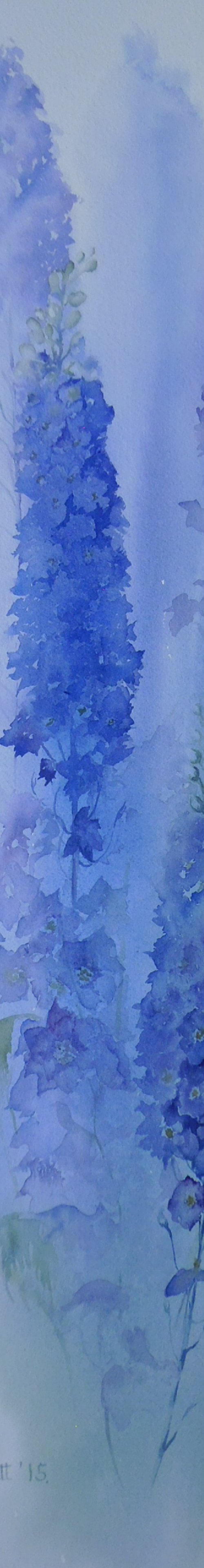 Delphiniums by Diana Dabinett