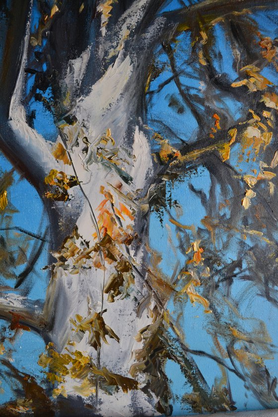 Soul of the Tree