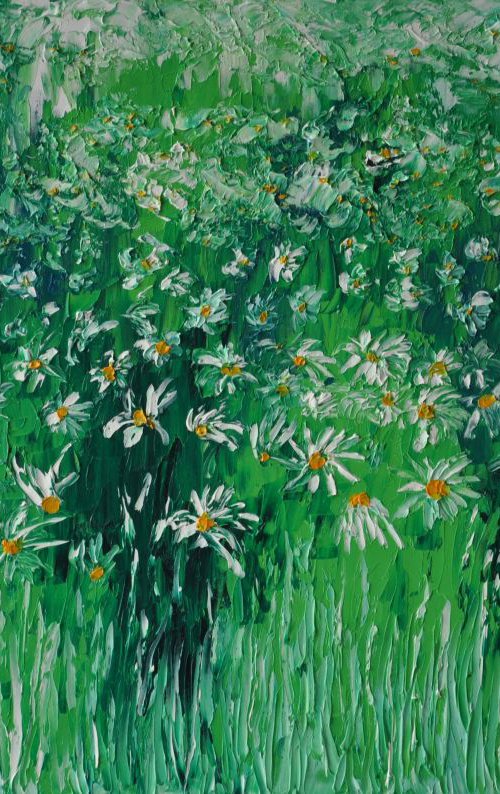 Leucanthemum in grass 3 by Daniel Urbaník