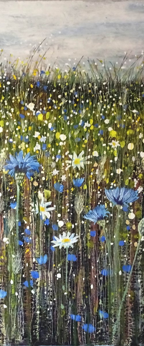 Wildflower Meadow 10 by Roz Edwards
