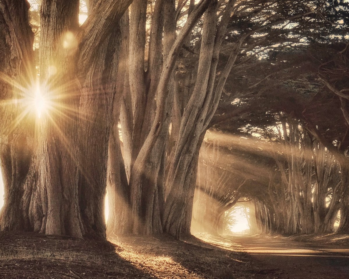 Photorealistic Landscape Photograph By Emily Kent, 21 X 17, Ethereal, Original Artwork