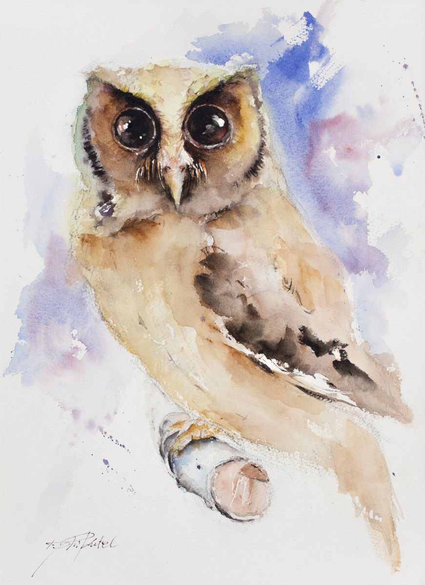 Impressionistic Animal Watercolour By Tomasz Mikutel, 11 X 15", Cute Owl, Original Artwork