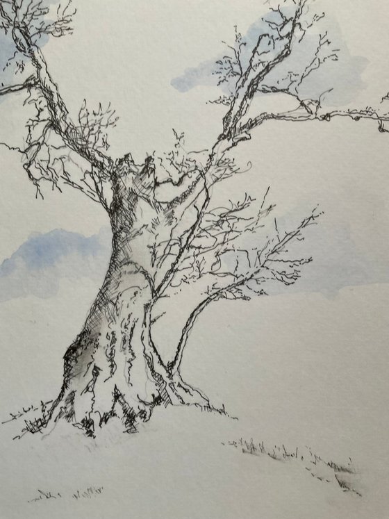 February Tree