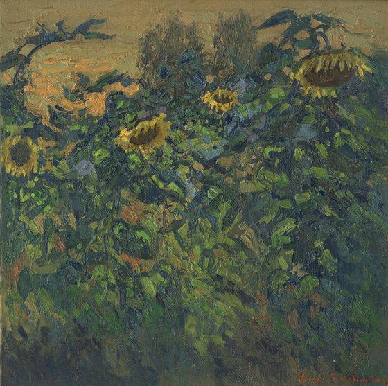 Sunflowers