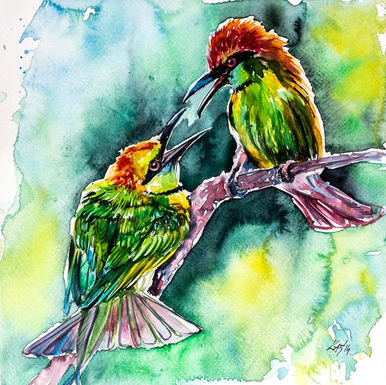 Colorful birds