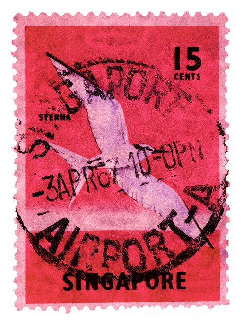 Heidler & Heeps Singapore Stamp Collection '15 cents Singapore Sterna Stamp' (Pink) by Richard Heeps